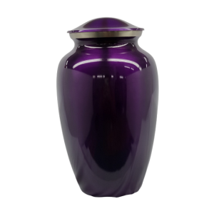 SOLID BRASS High Polish Plum finish - BR107PLUM-A